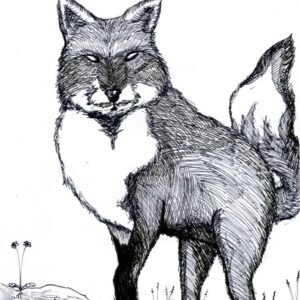 Raposa - Arte Original Digitalizada