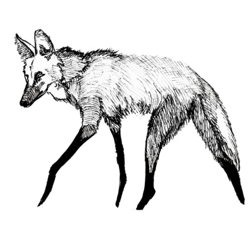 quatroventosarte.com